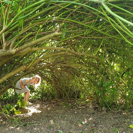 Cosy Er Lann Gite Sequoia Val-Couesnon 外观 照片