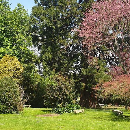 Cosy Er Lann Gite Sequoia Val-Couesnon 外观 照片